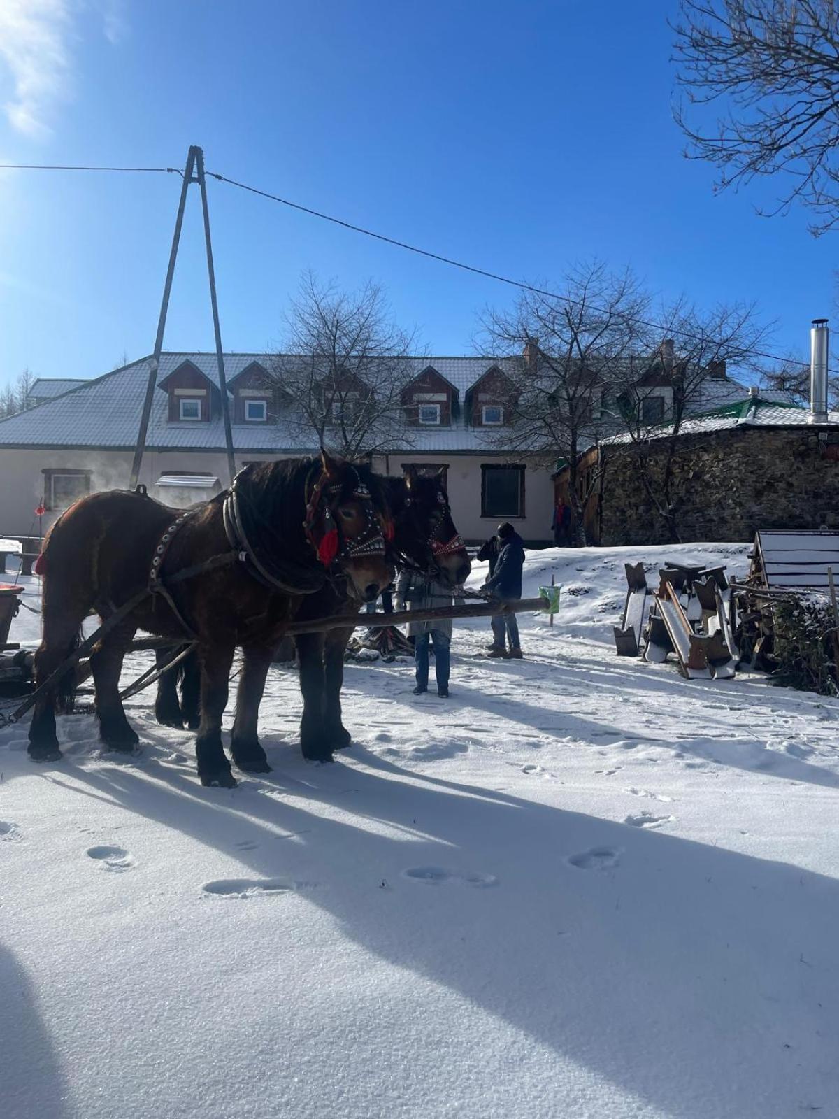 Latarnia Wagabundy Bieszczady Wola Michowa Exterior foto