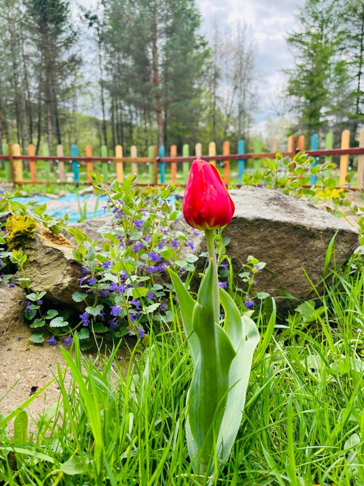 Latarnia Wagabundy Bieszczady Wola Michowa Exterior foto