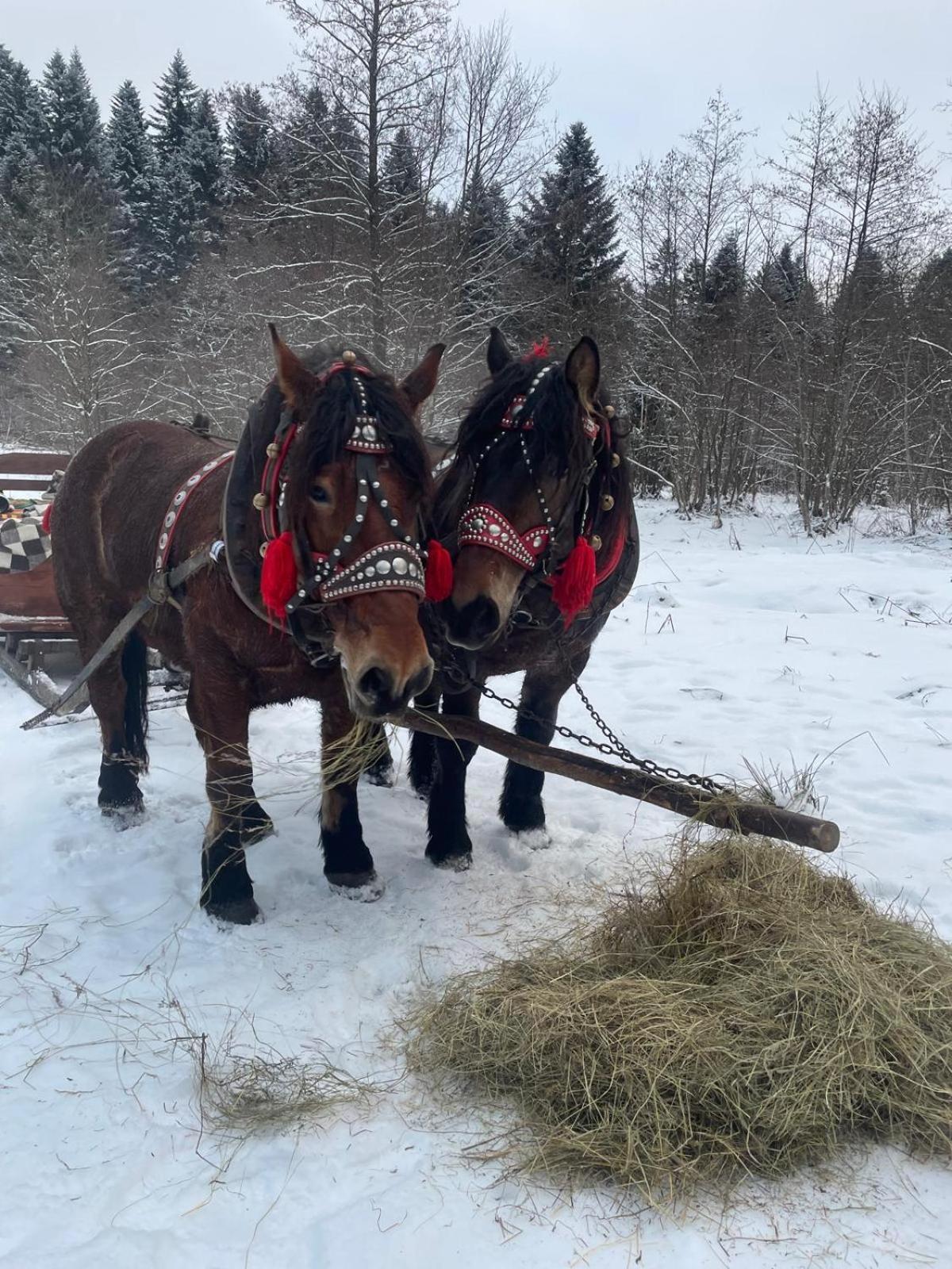 Latarnia Wagabundy Bieszczady Wola Michowa Exterior foto
