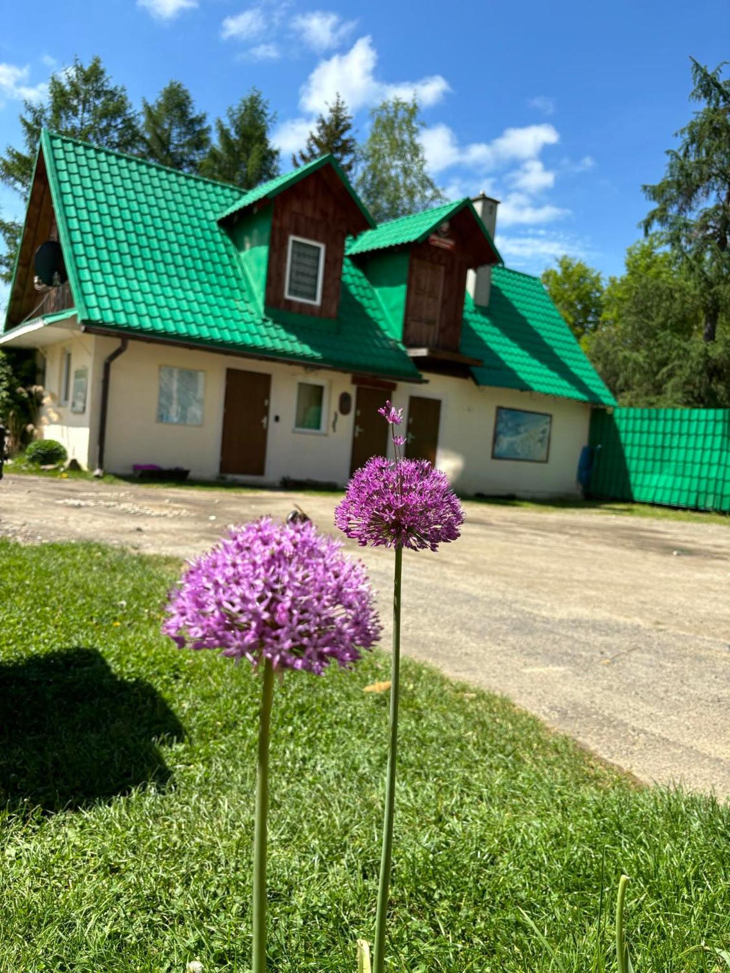 Latarnia Wagabundy Bieszczady Wola Michowa Exterior foto
