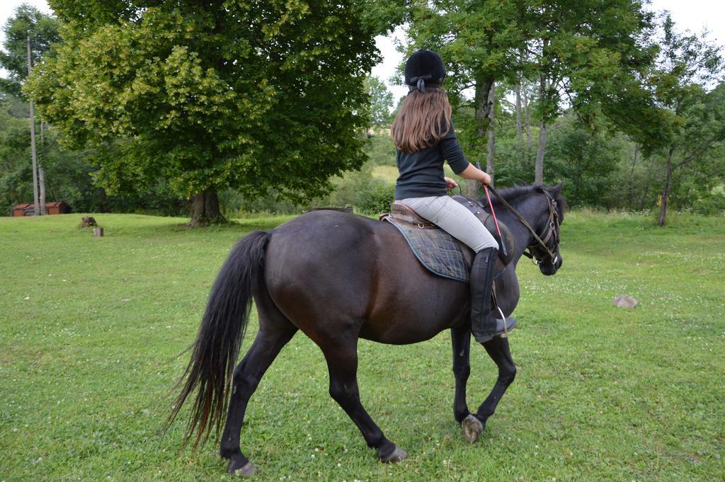 Latarnia Wagabundy Bieszczady Wola Michowa Exterior foto