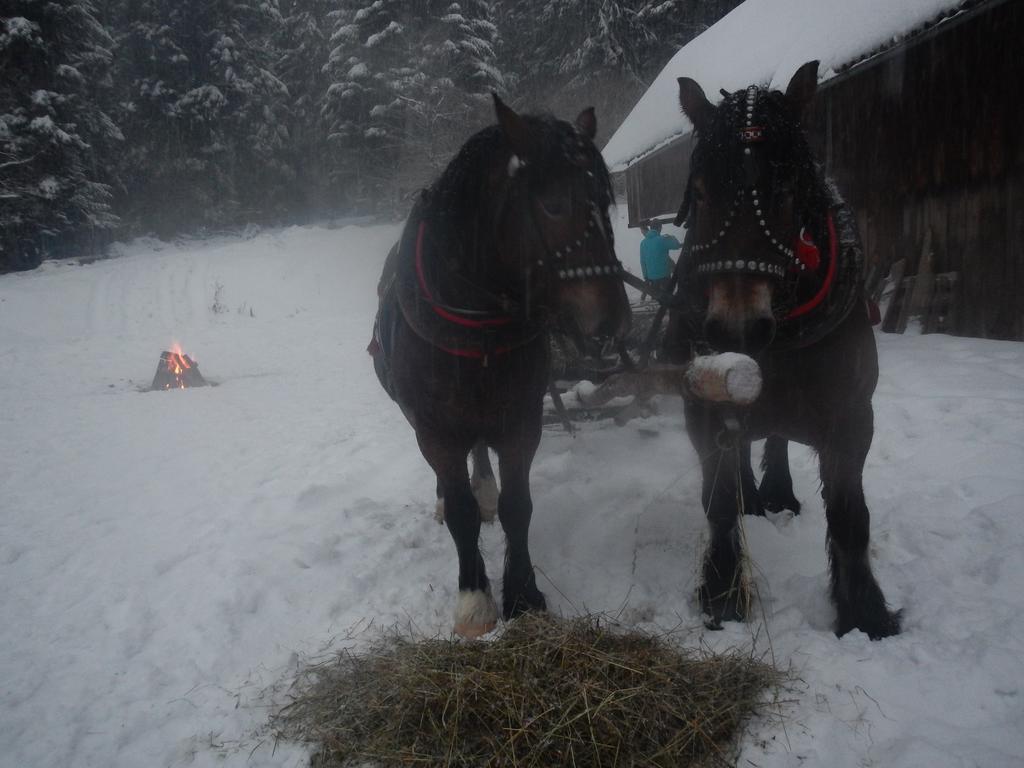 Latarnia Wagabundy Bieszczady Wola Michowa Exterior foto